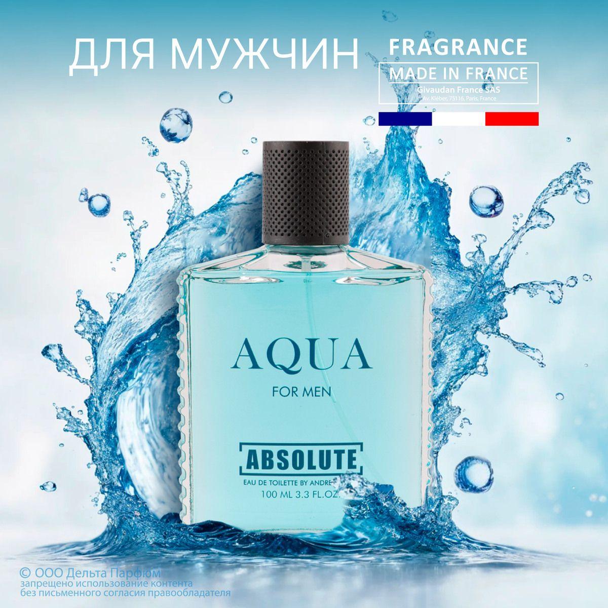 Туалетная вода мужская 100 мл, Absolute Aqua