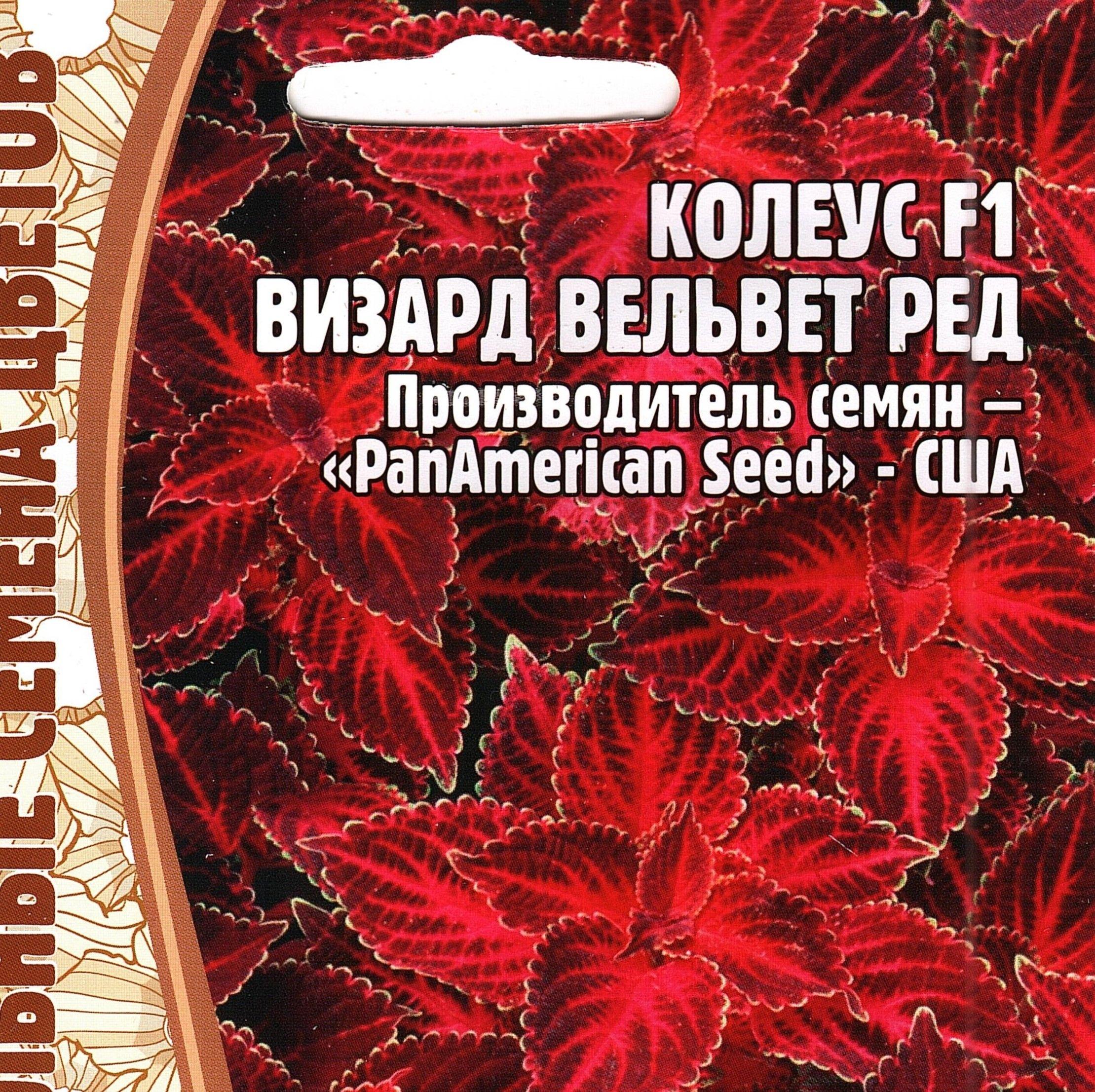 Колеус F1 ВИЗАРД ВЕЛЬВЕТ РЕД, декоративен круглый го, комнатный многолетник ( 1 уп: 5 семян )