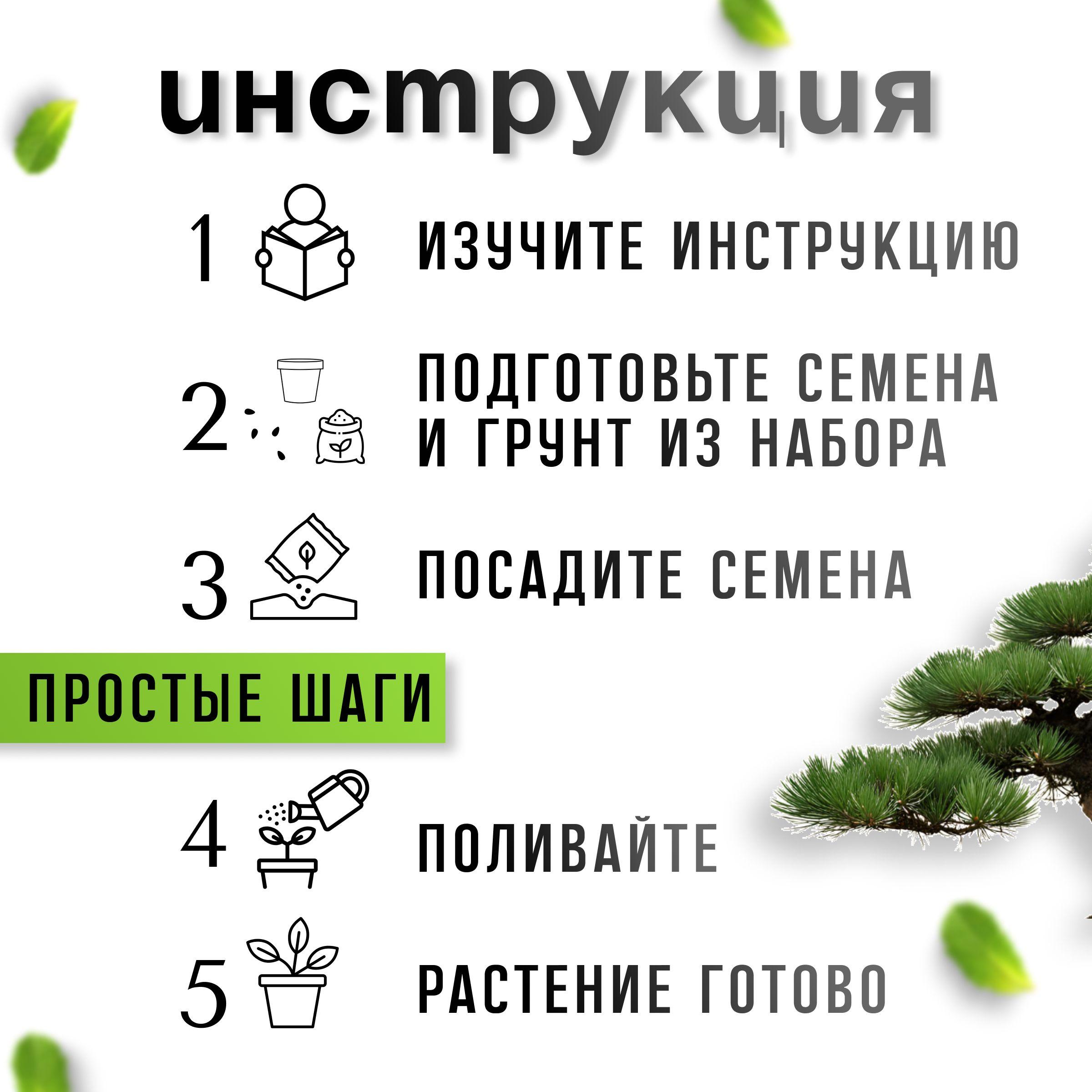 https://cdn1.ozone.ru/s3/multimedia-1-b/7085427959.jpg