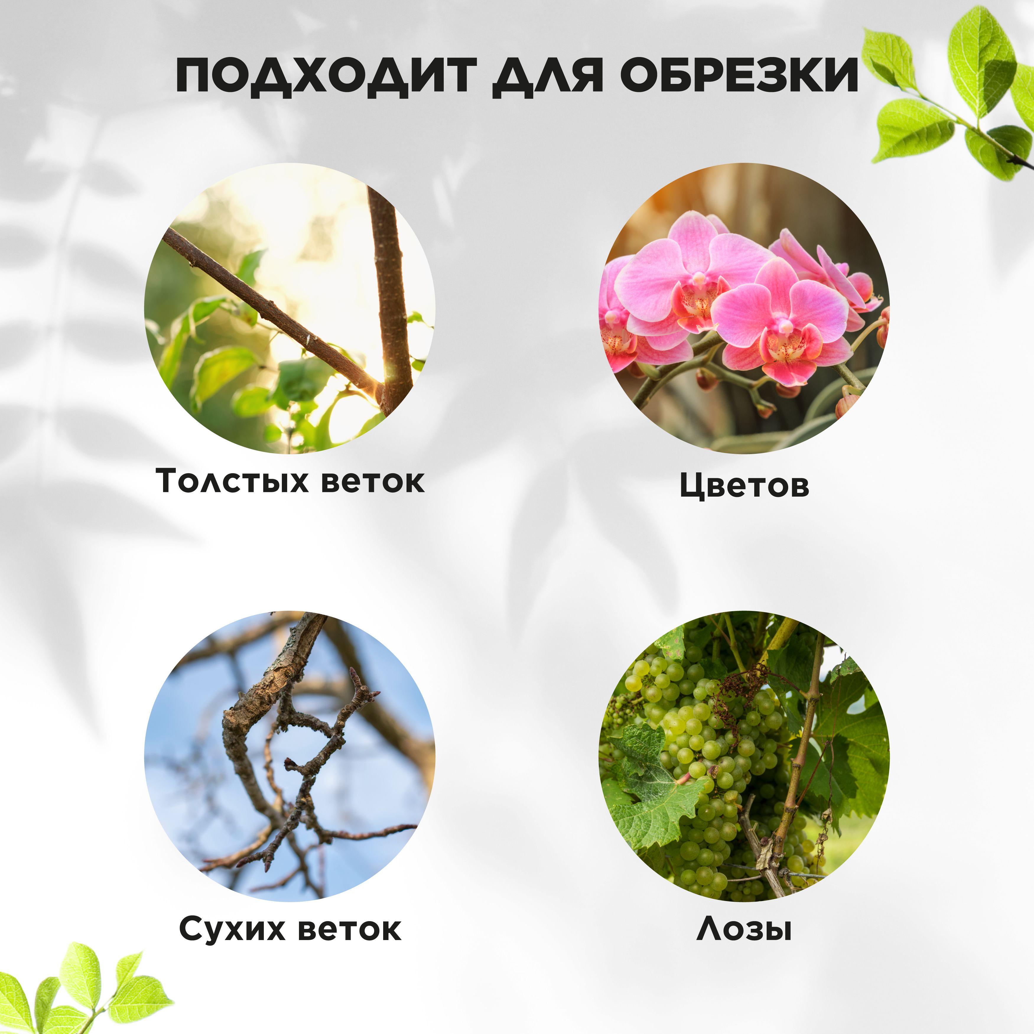 https://cdn1.ozone.ru/s3/multimedia-1-b/7093872803.jpg