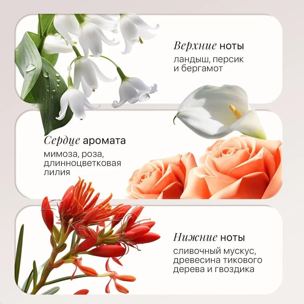 https://cdn1.ozone.ru/s3/multimedia-1-b/7179843539.jpg