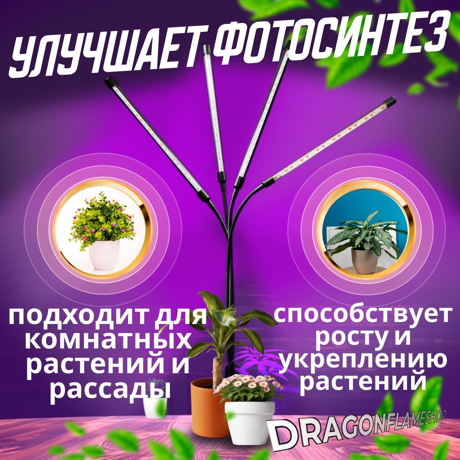 https://cdn1.ozone.ru/s3/multimedia-1-b/7183735067.jpg