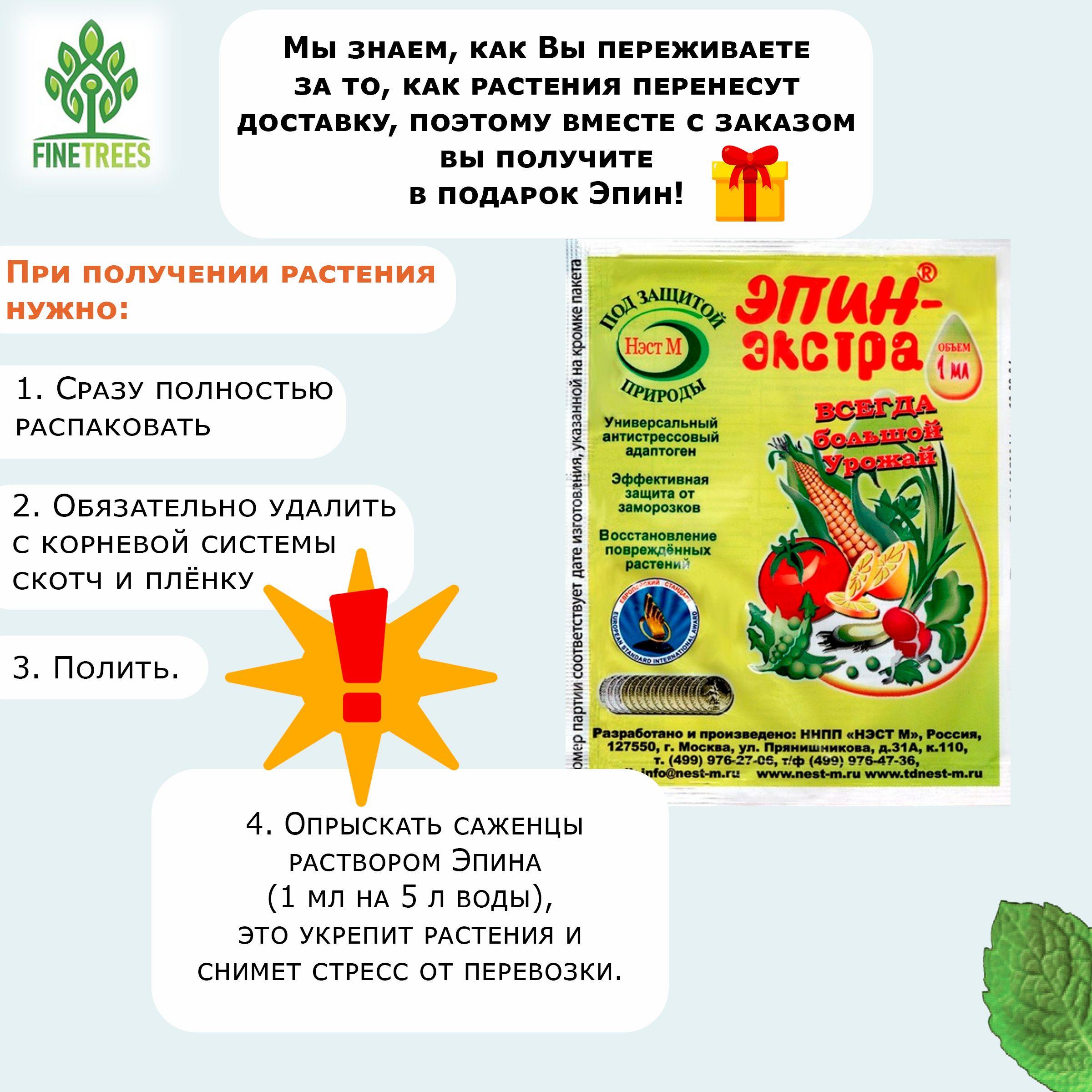 https://cdn1.ozone.ru/s3/multimedia-1-c/6913249320.jpg