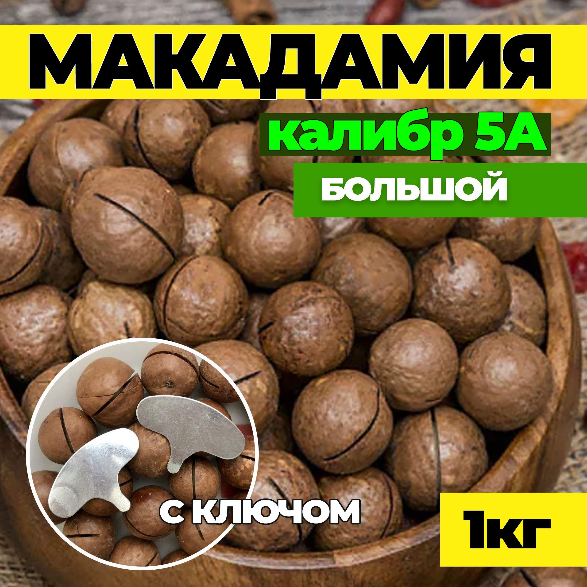 Макадамия, Макадамия орех, калибр 5А 1кг в скорлупе с ключом