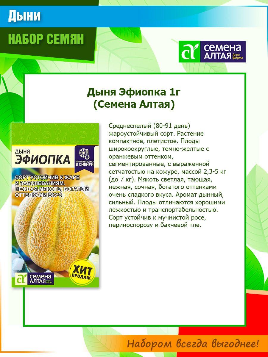 https://cdn1.ozone.ru/s3/multimedia-1-c/6988913508.jpg
