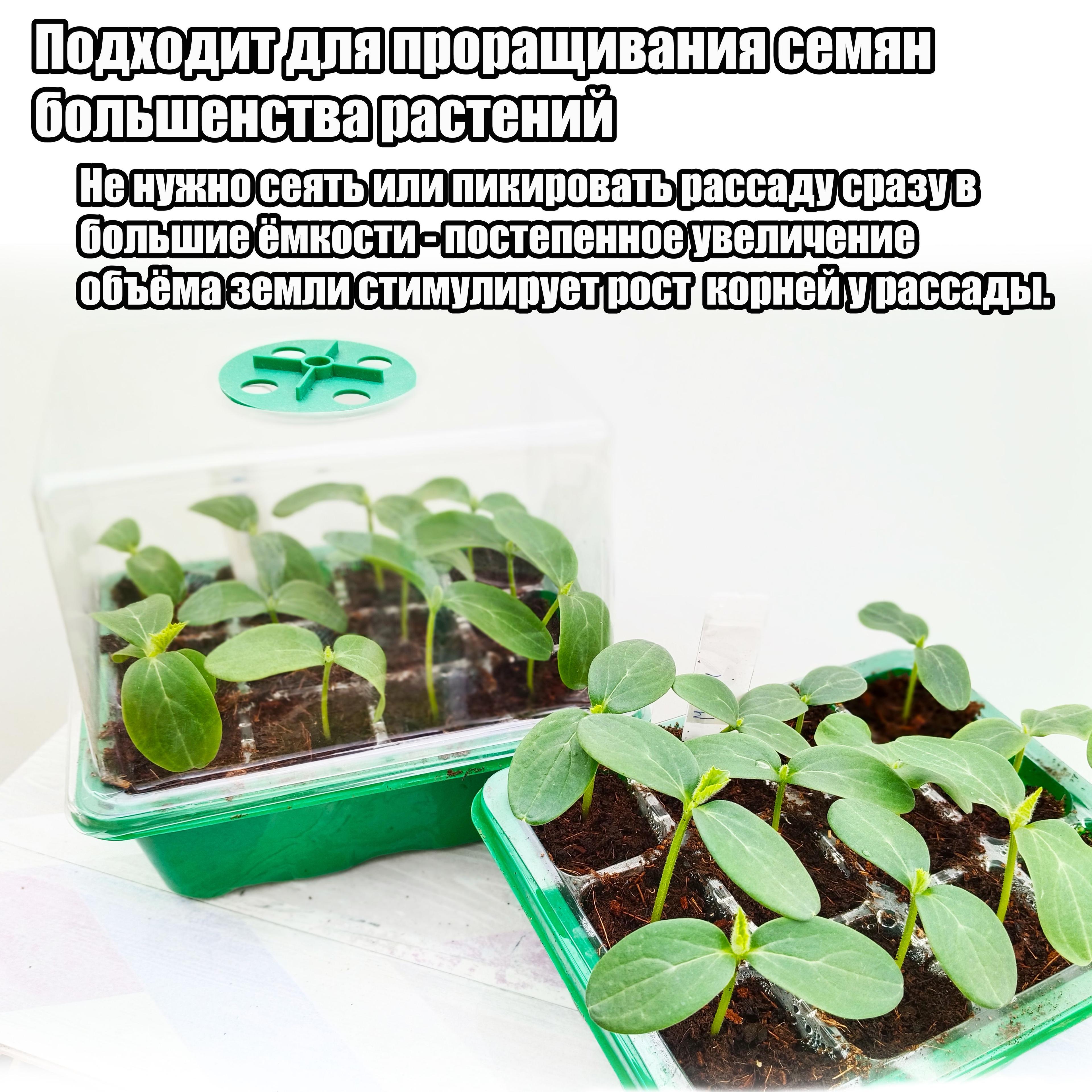 https://cdn1.ozone.ru/s3/multimedia-1-c/7004013132.jpg