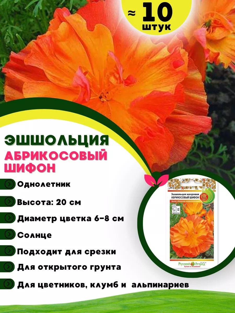 https://cdn1.ozone.ru/s3/multimedia-1-c/7047844608.jpg