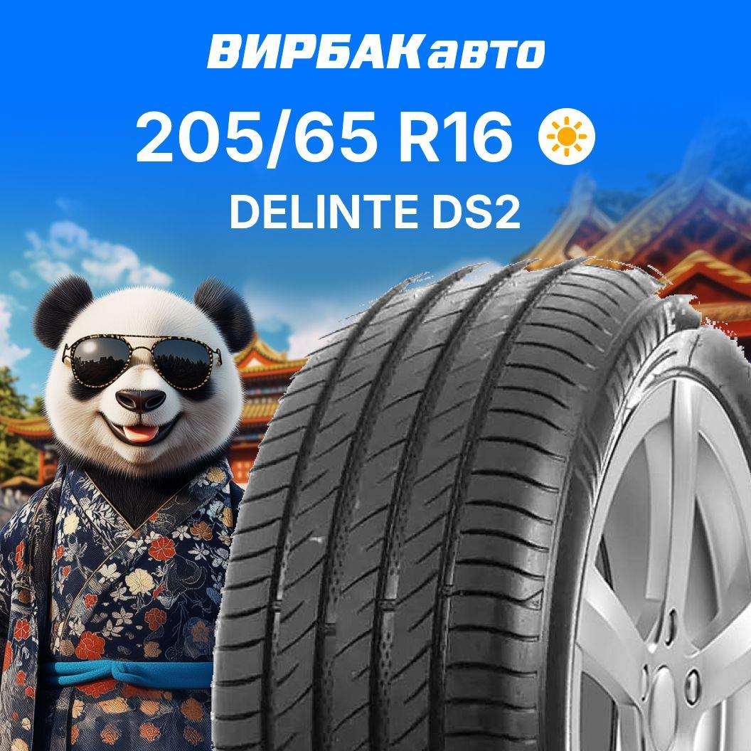 Delinte DS2 Шины  летние 205/65  R16 95V