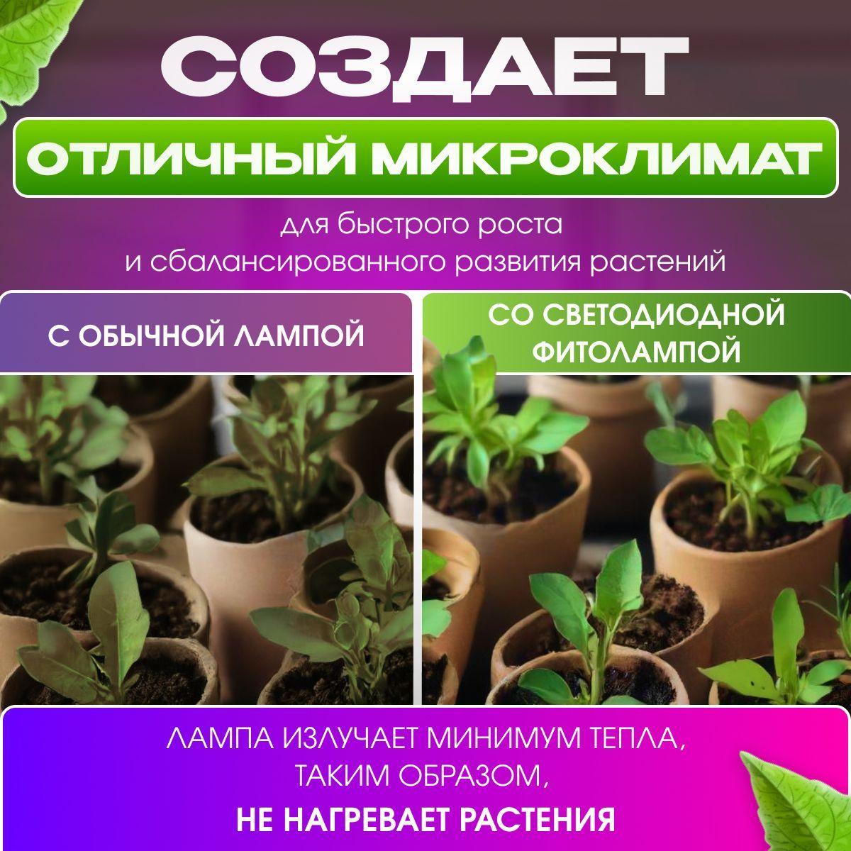 https://cdn1.ozone.ru/s3/multimedia-1-c/7185883692.jpg