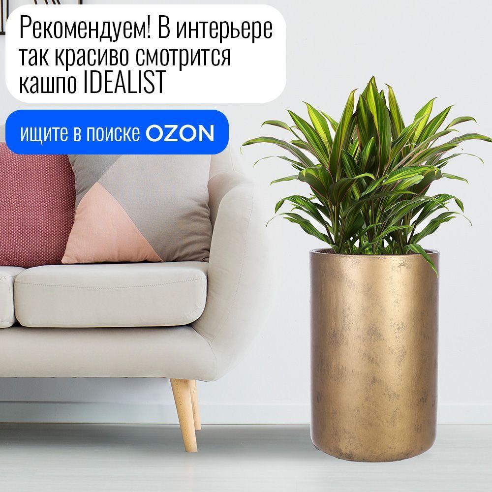 https://cdn1.ozone.ru/s3/multimedia-1-c/7203261000.jpg