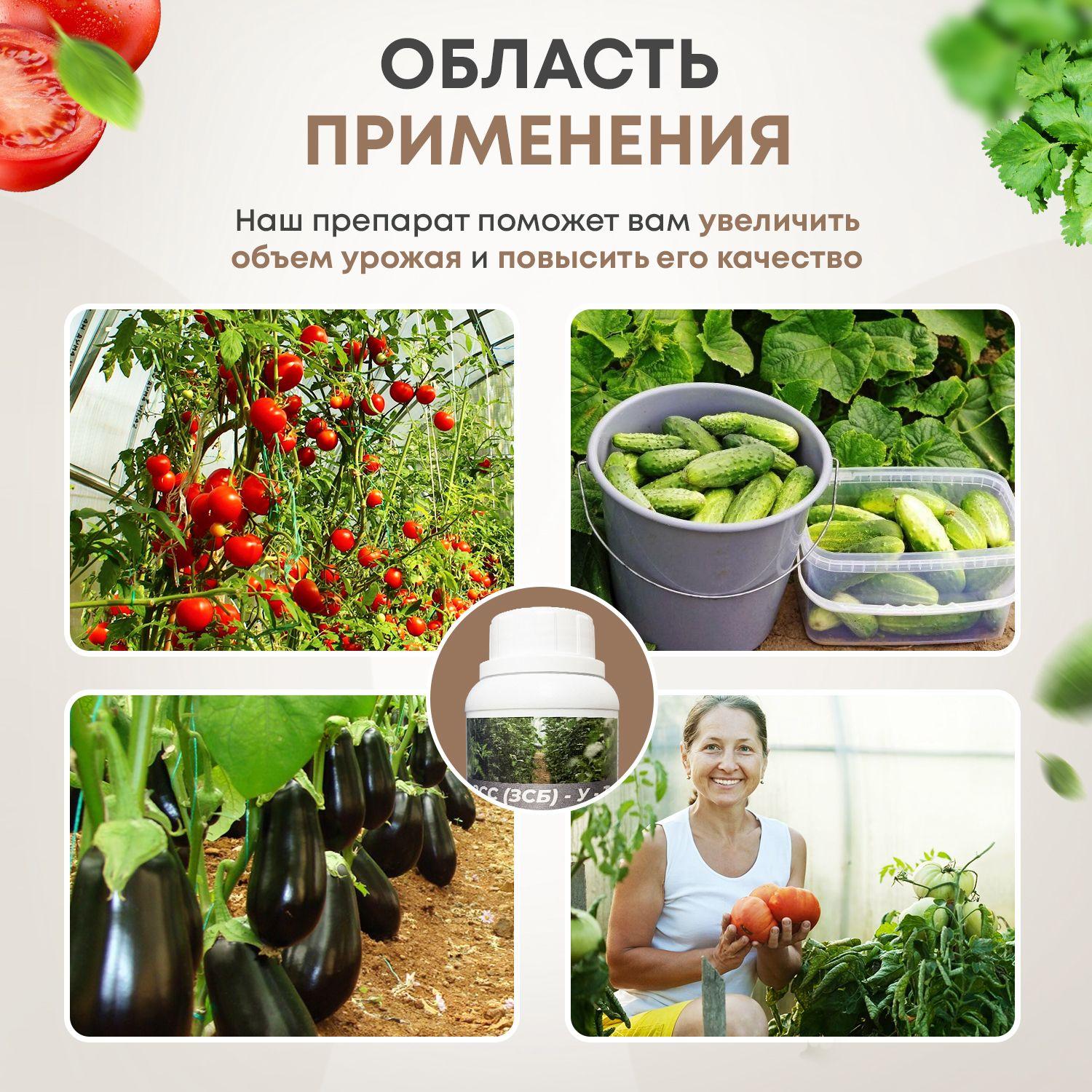 https://cdn1.ozone.ru/s3/multimedia-1-d/6998955601.jpg