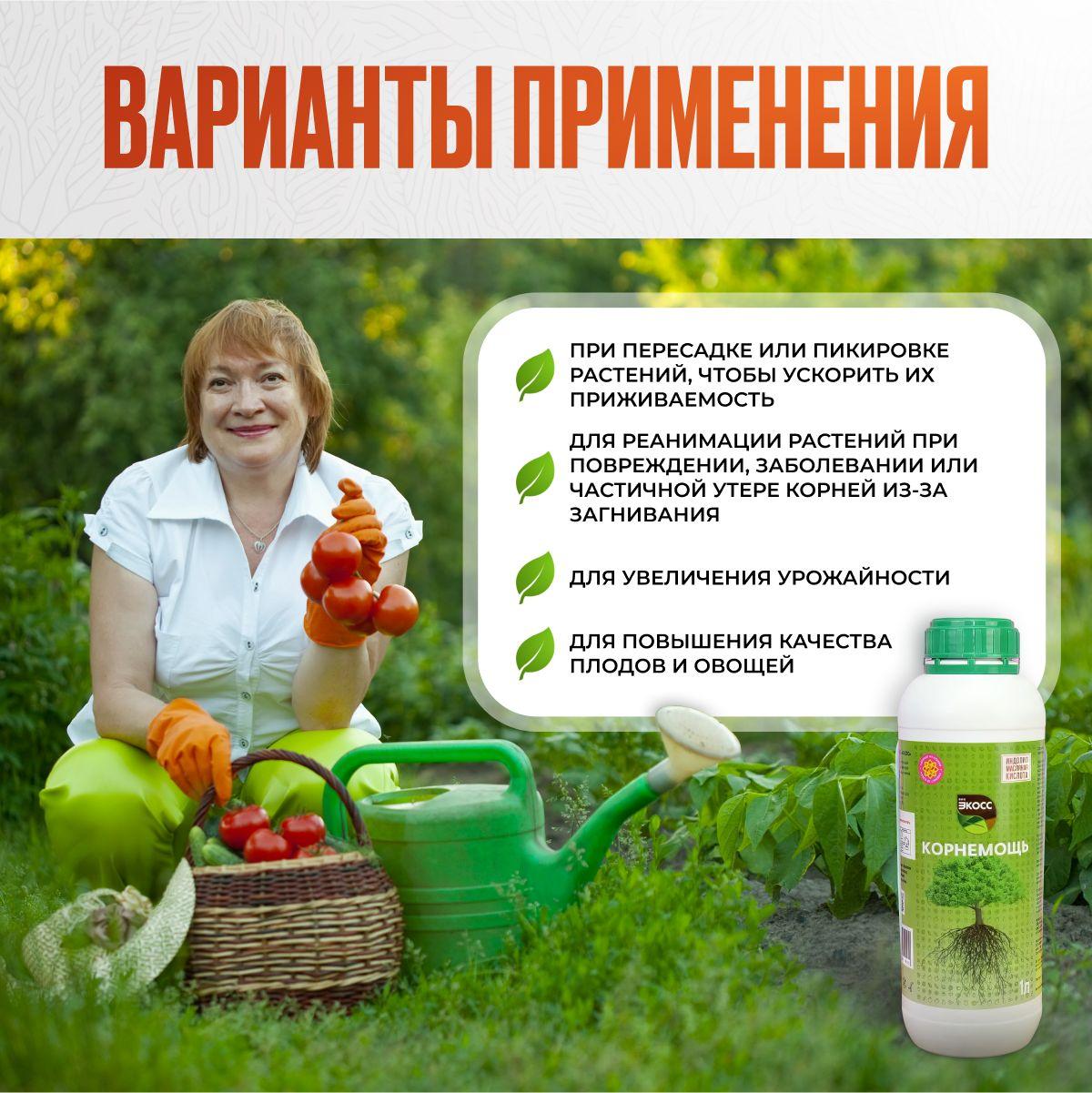 https://cdn1.ozone.ru/s3/multimedia-1-d/7020993973.jpg