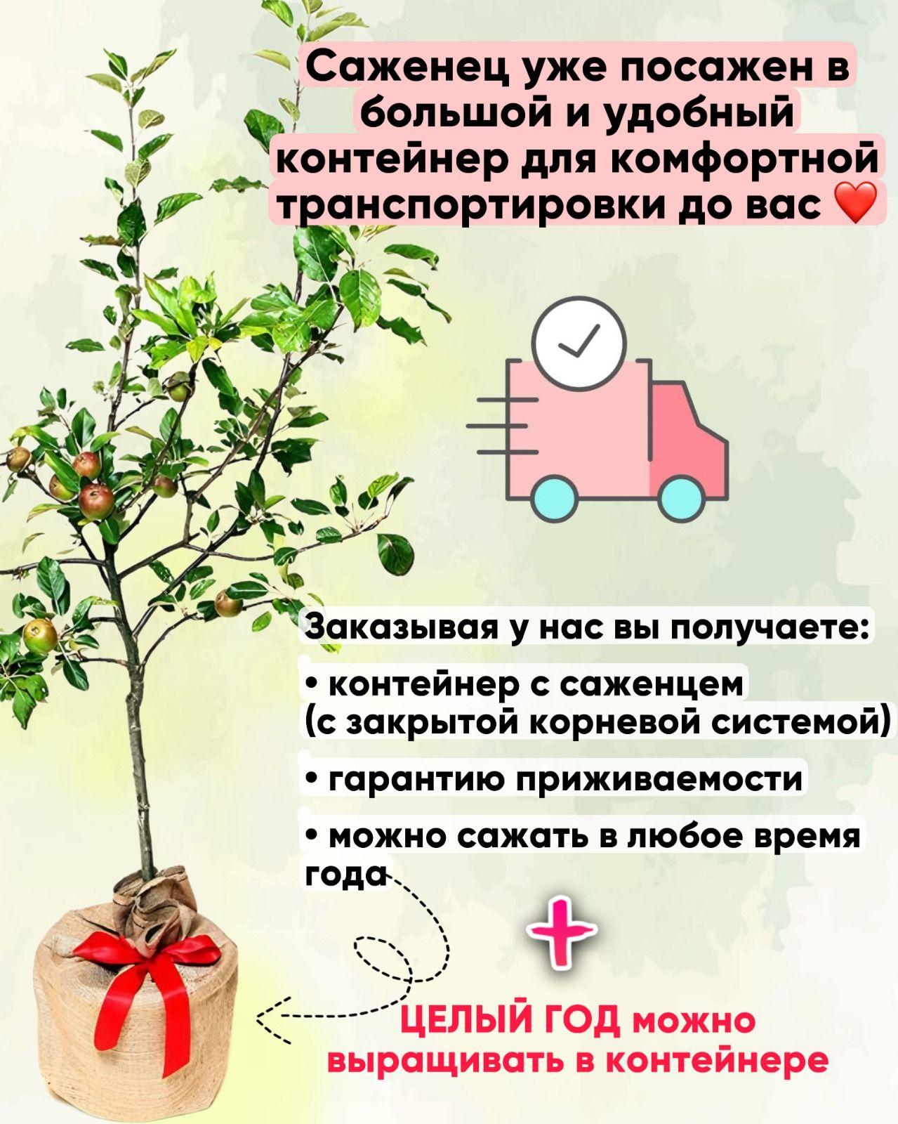 https://cdn1.ozone.ru/s3/multimedia-1-d/7039948369.jpg