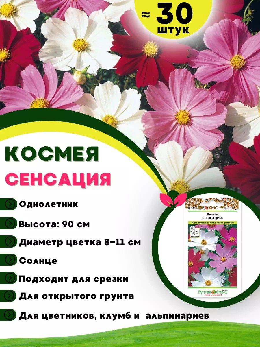 https://cdn1.ozone.ru/s3/multimedia-1-d/7047844609.jpg