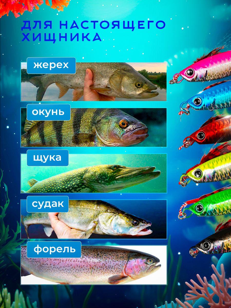 https://cdn1.ozone.ru/s3/multimedia-1-d/7057859809.jpg