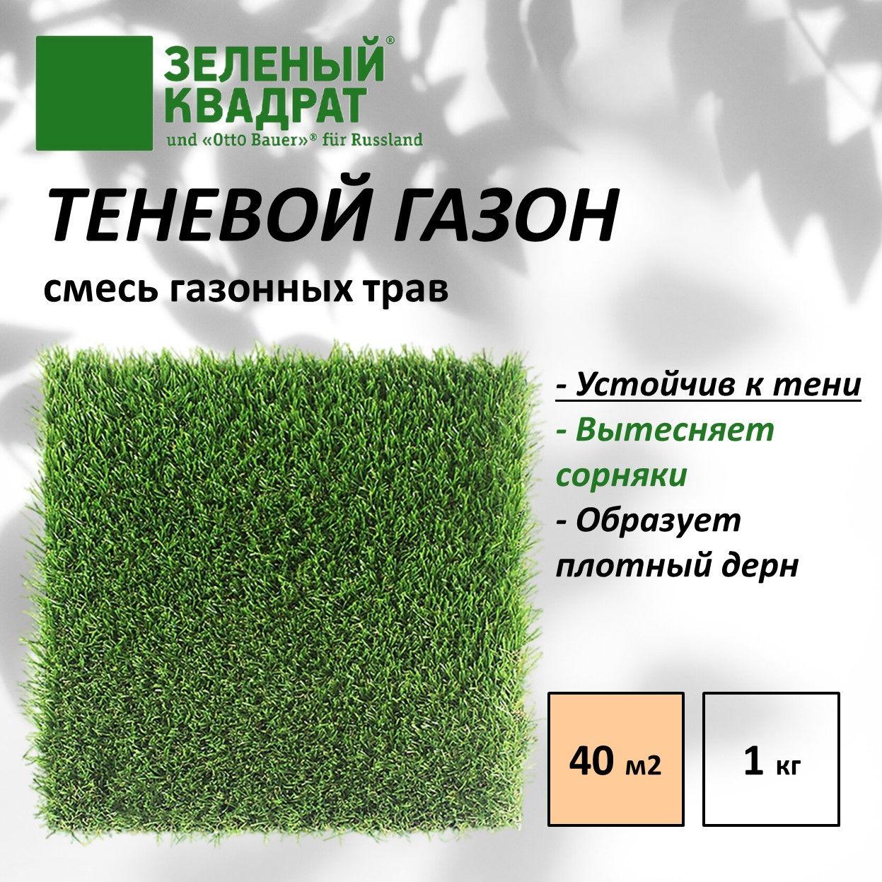 Семена газона Зеленый Квадрат ТЕНЕВОЙ 1 кг, для создания газона на затененных участках