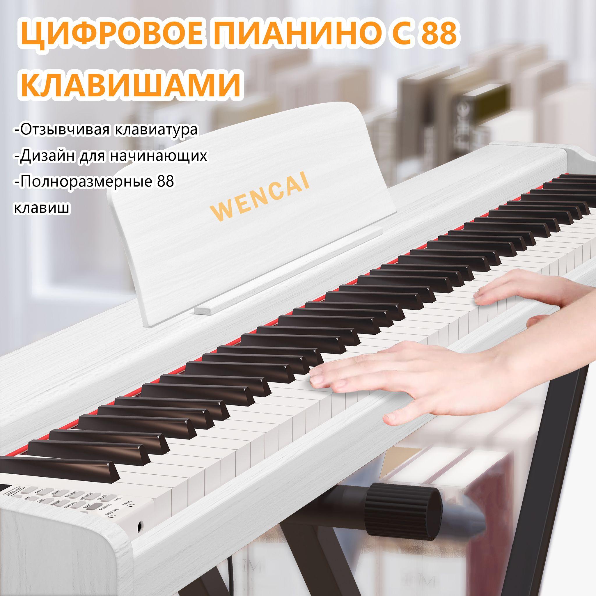 https://cdn1.ozone.ru/s3/multimedia-1-d/7086427141.jpg