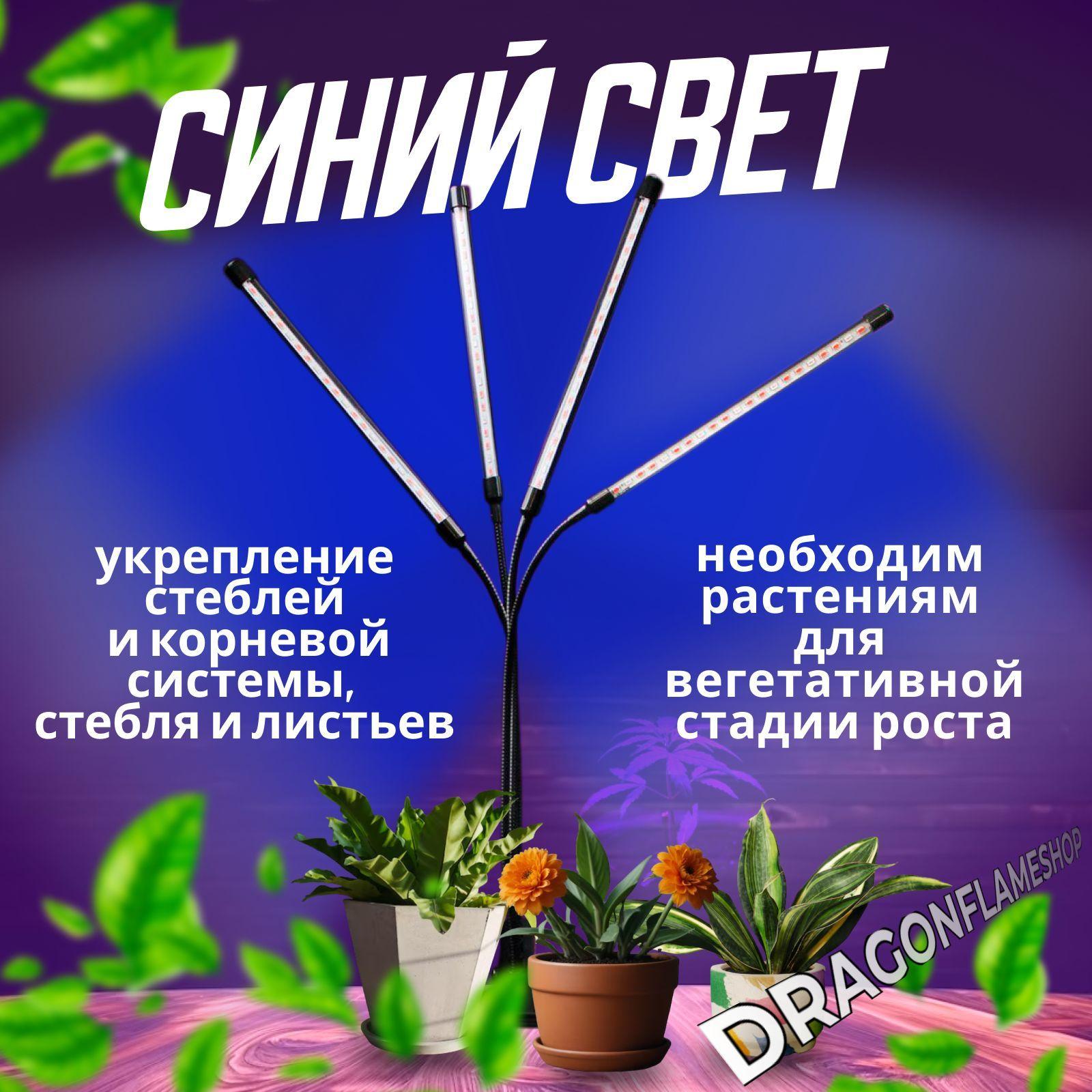 https://cdn1.ozone.ru/s3/multimedia-1-d/7183735069.jpg