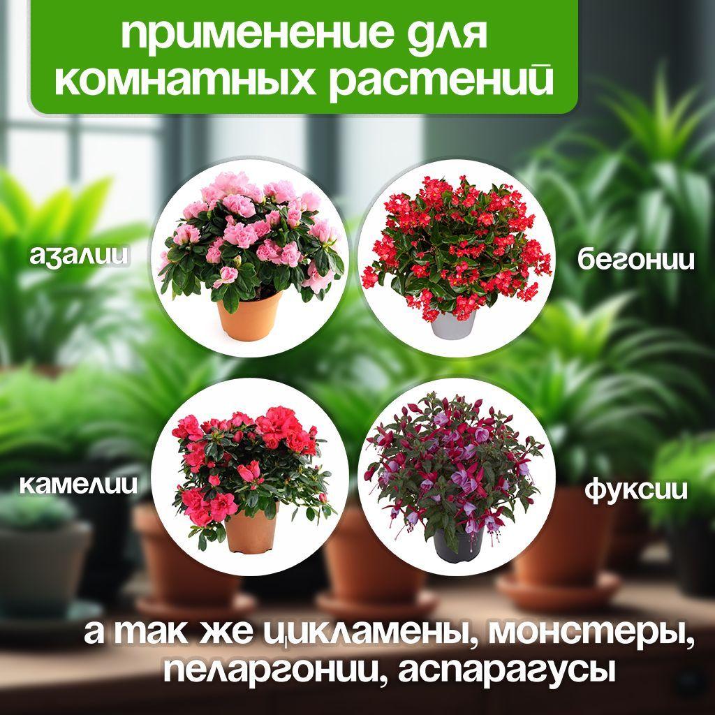 https://cdn1.ozone.ru/s3/multimedia-1-d/7196883637.jpg