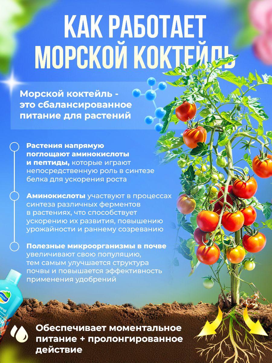 https://cdn1.ozone.ru/s3/multimedia-1-e/6945588122.jpg