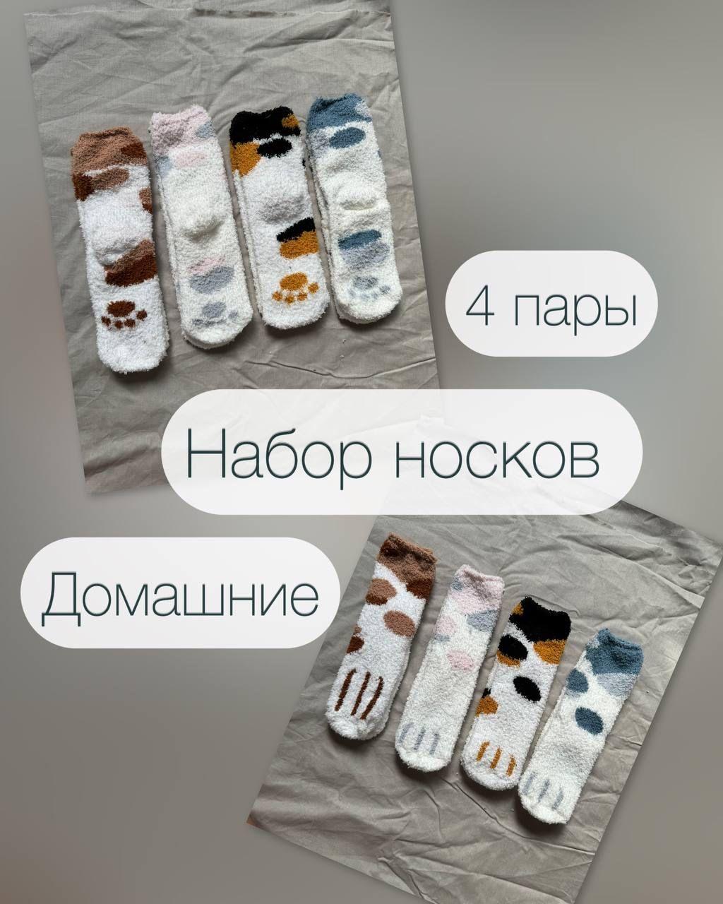 K7 family | Носки K7 family, 4 пары