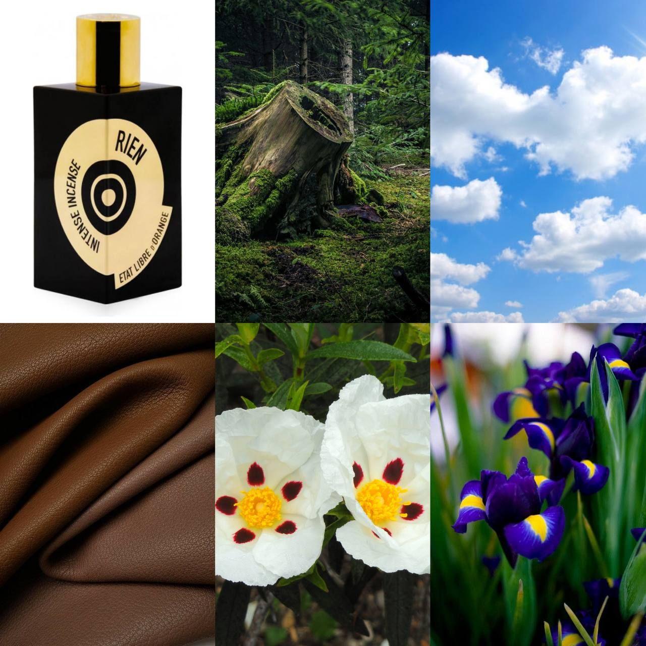 https://cdn1.ozone.ru/s3/multimedia-1-e/7133950706.jpg