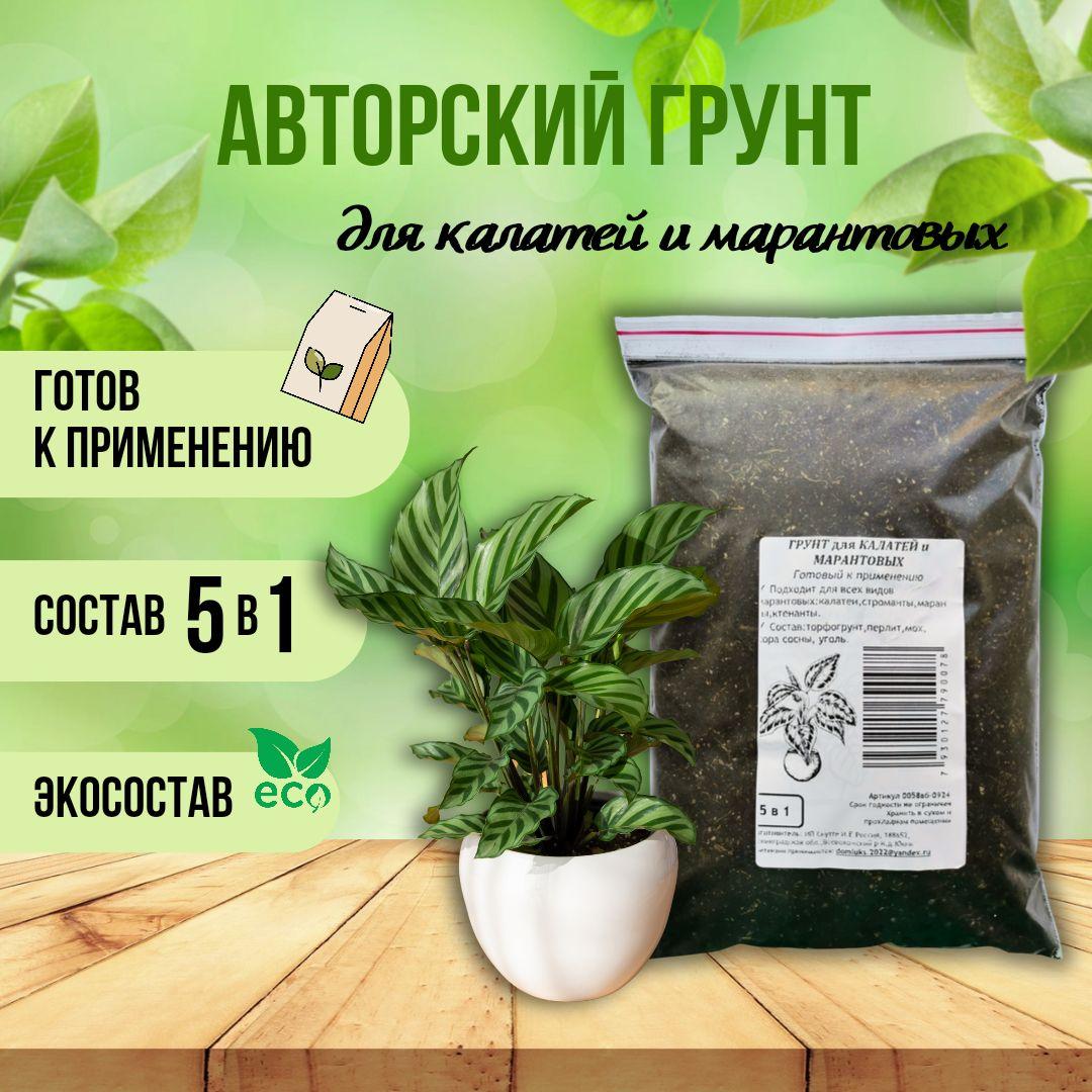 Грунт для суккулентов и кактусов