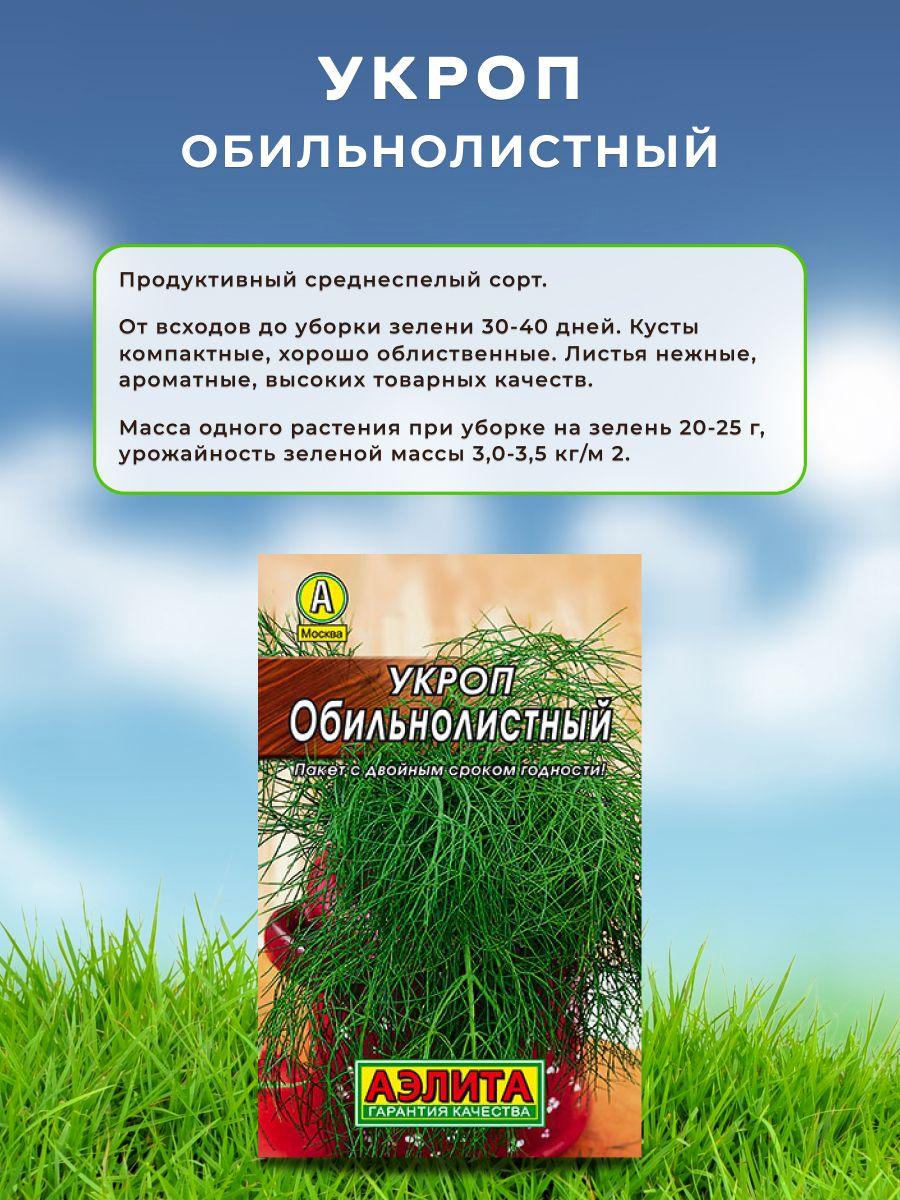 https://cdn1.ozone.ru/s3/multimedia-1-e/7146038390.jpg