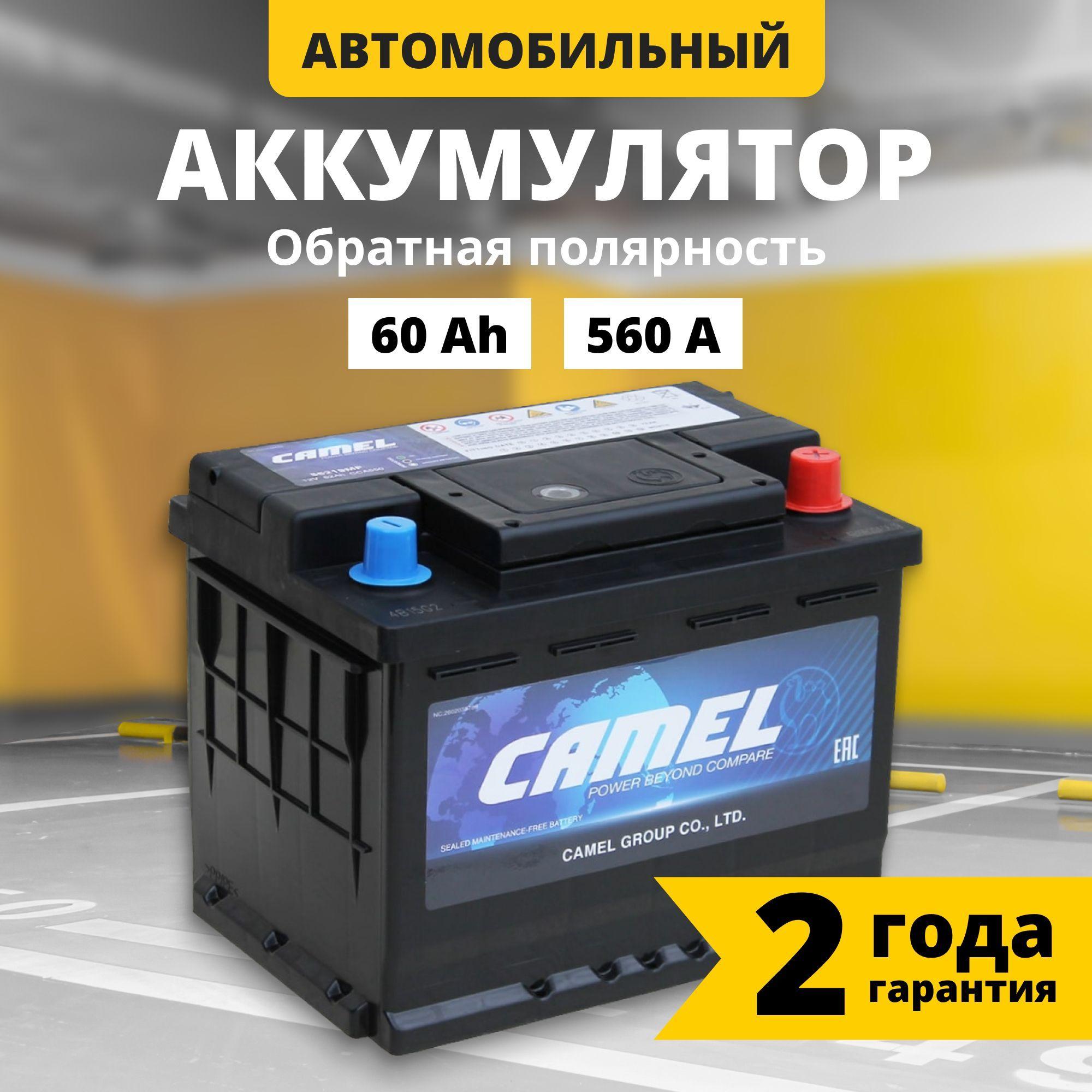 Аккумулятор автомобильный 12v 60 Ah CAMEL 60 Ah 560 А R+ обратная полярность 242x175x190 стартерный акб для автомобиля, машины