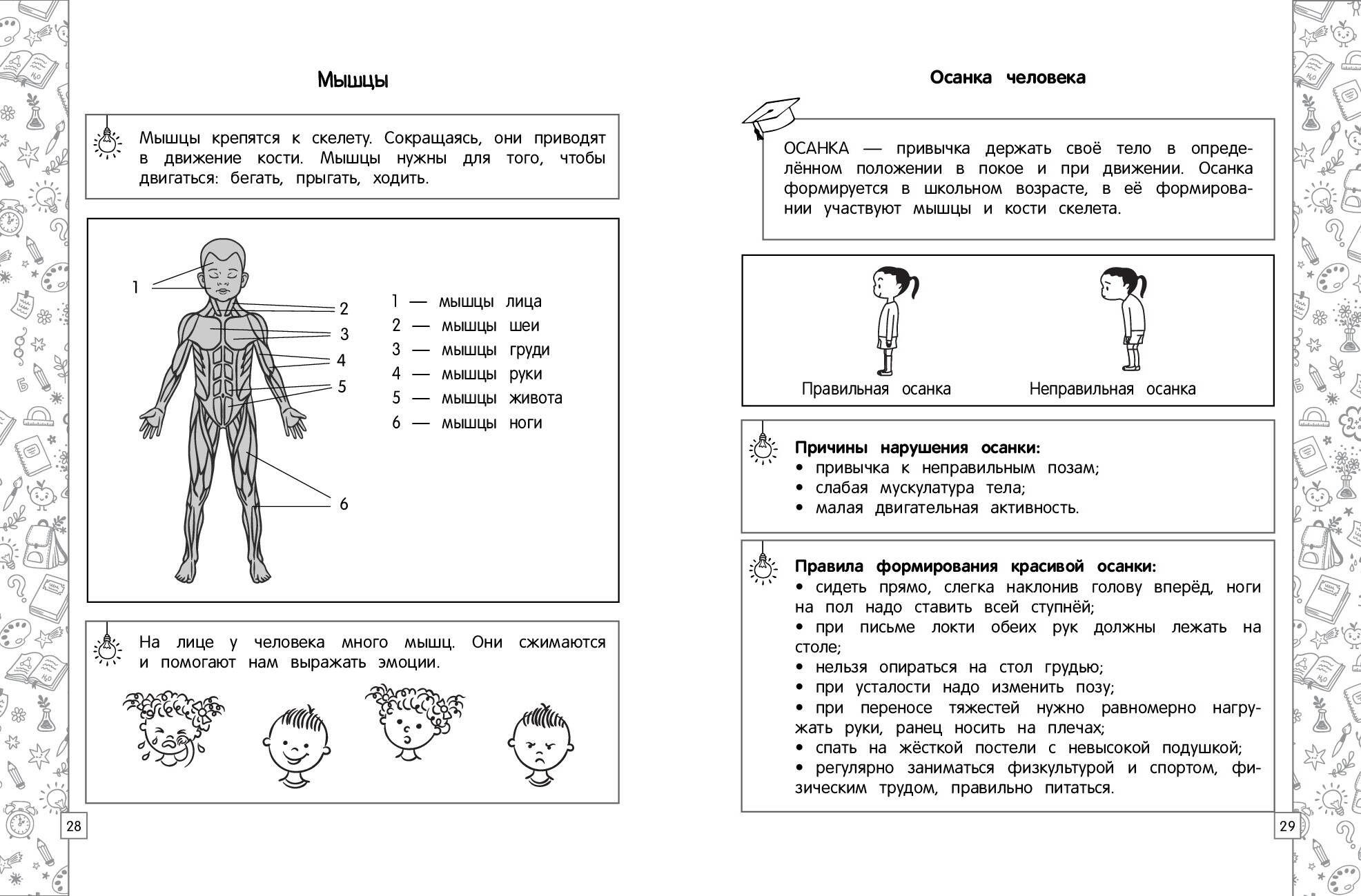 https://cdn1.ozone.ru/s3/multimedia-1-f/6926616483.jpg