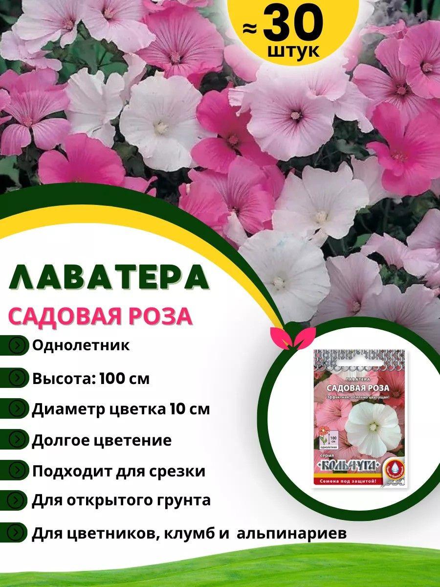 https://cdn1.ozone.ru/s3/multimedia-1-f/7047844611.jpg