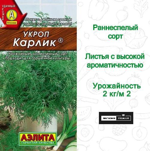 Семена Укроп Карлик (3 г) - Агрофирма Аэлита