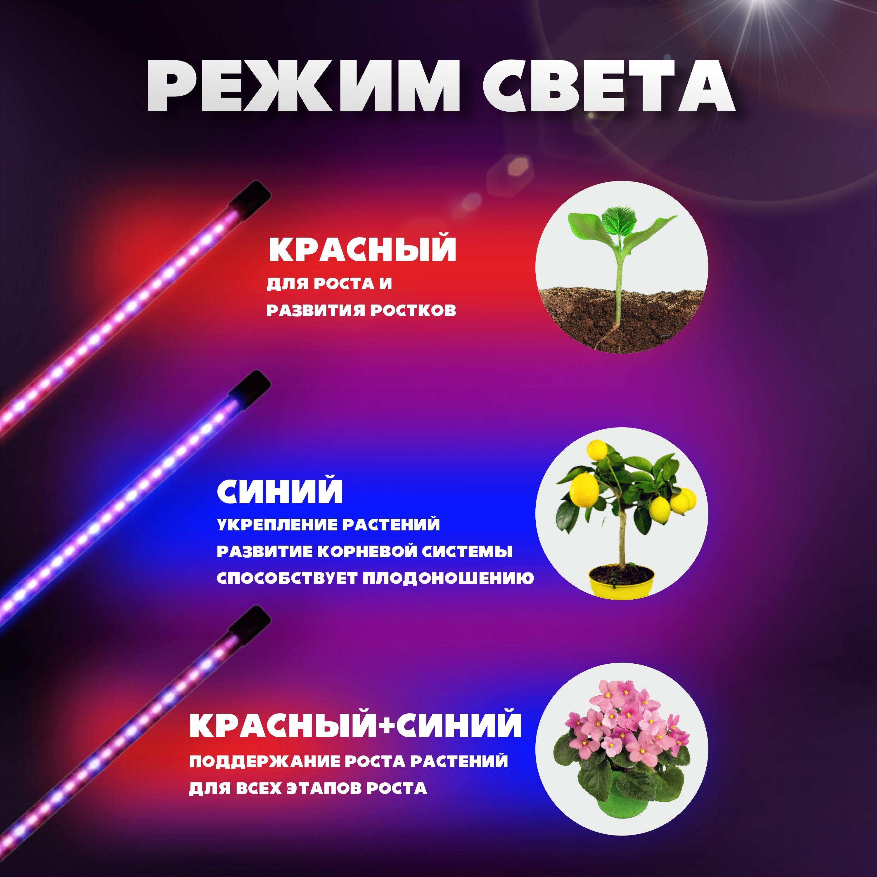 https://cdn1.ozone.ru/s3/multimedia-1-f/7093988043.jpg