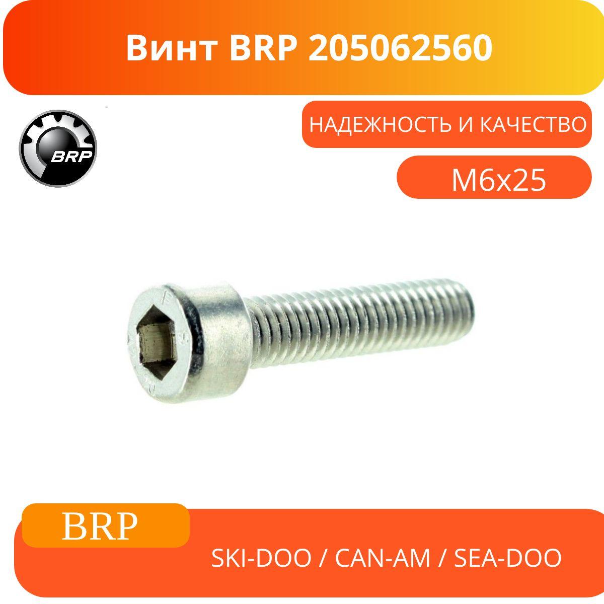 Винт BRP 205062560