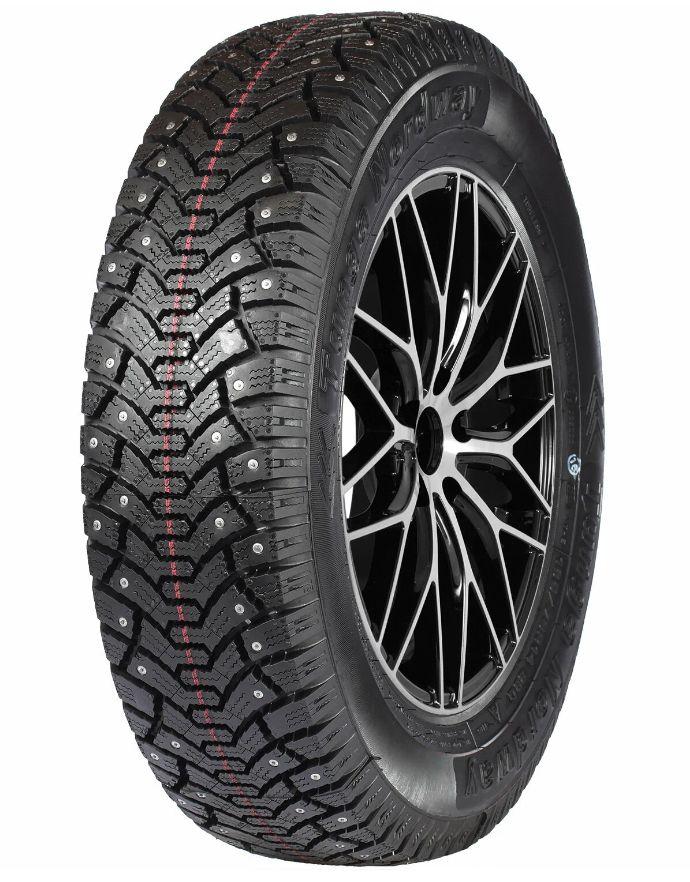 Tunga 14 Шины  зимние 185/70  R14 88Q Шипованные