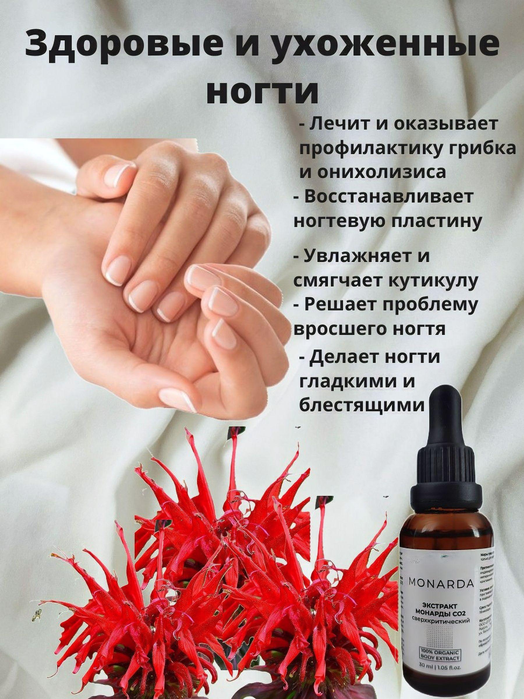 https://cdn1.ozone.ru/s3/multimedia-1-f/7137221991.jpg