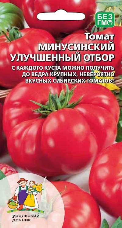 Уральский дачник | Томат Минусинский Улучшенный Отбор , 1 пакет, семена 20 шт, Уральский Дачник