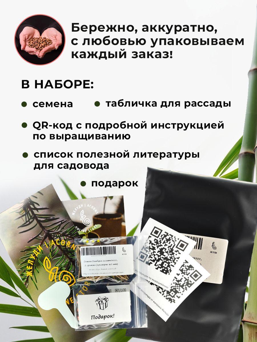 https://cdn1.ozone.ru/s3/multimedia-1-g/7023022756.jpg