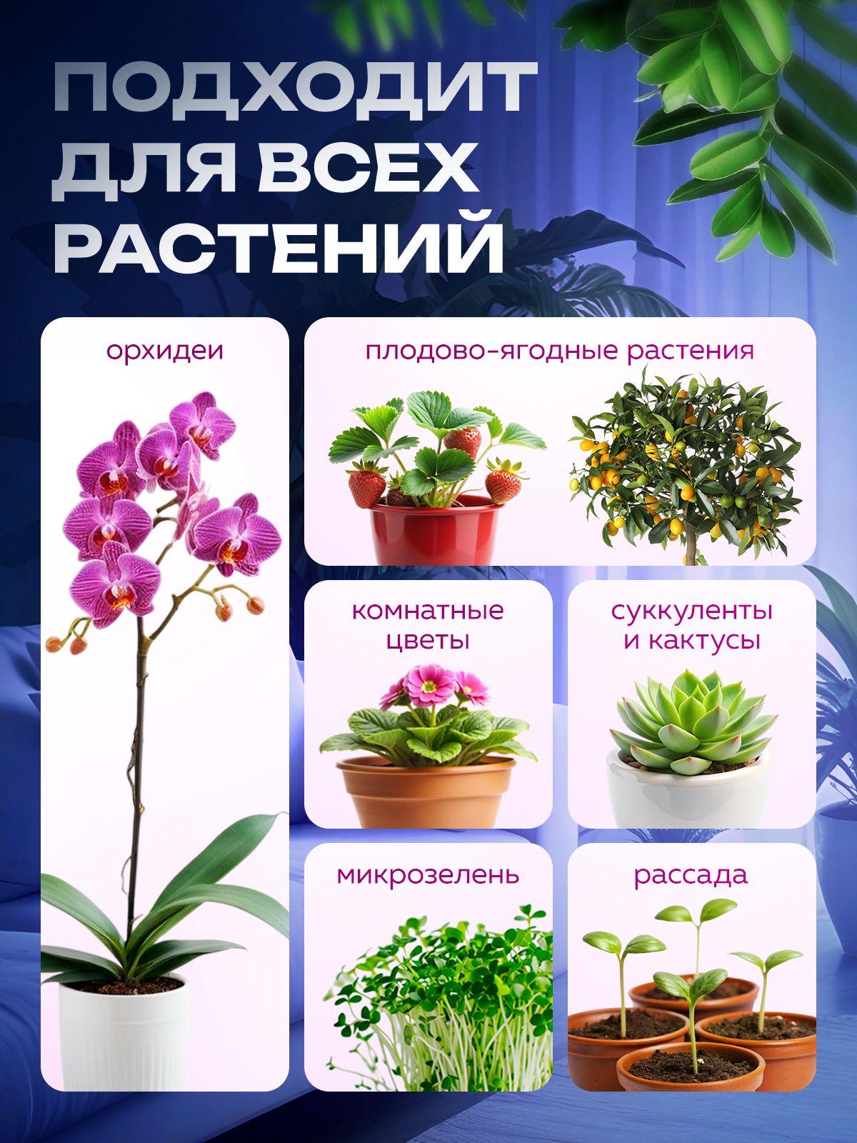 https://cdn1.ozone.ru/s3/multimedia-1-g/7145923660.jpg