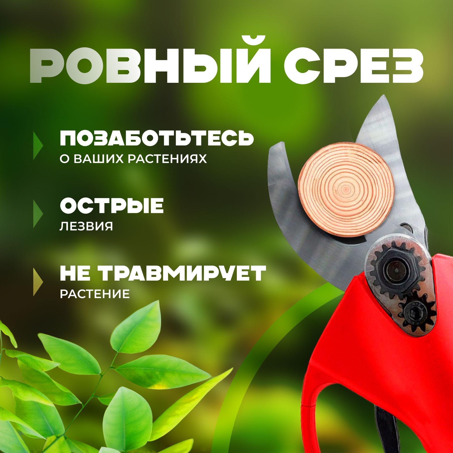 https://cdn1.ozone.ru/s3/multimedia-1-h/7031633561.jpg