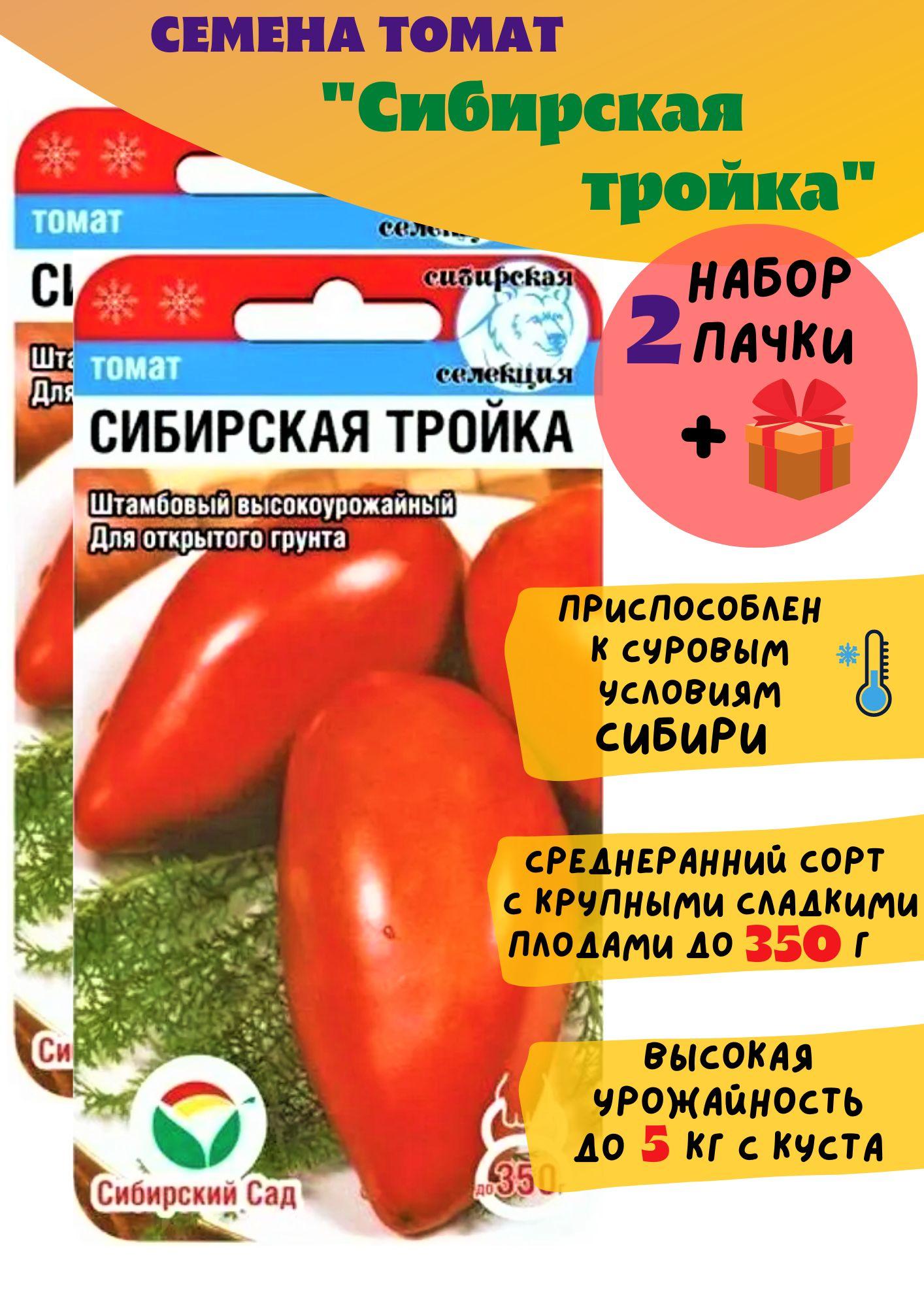 Семена томат Сибирская тройка 2 пачки + подарок (Сибирский сад)