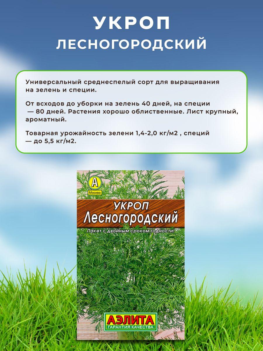 https://cdn1.ozone.ru/s3/multimedia-1-h/7146038393.jpg