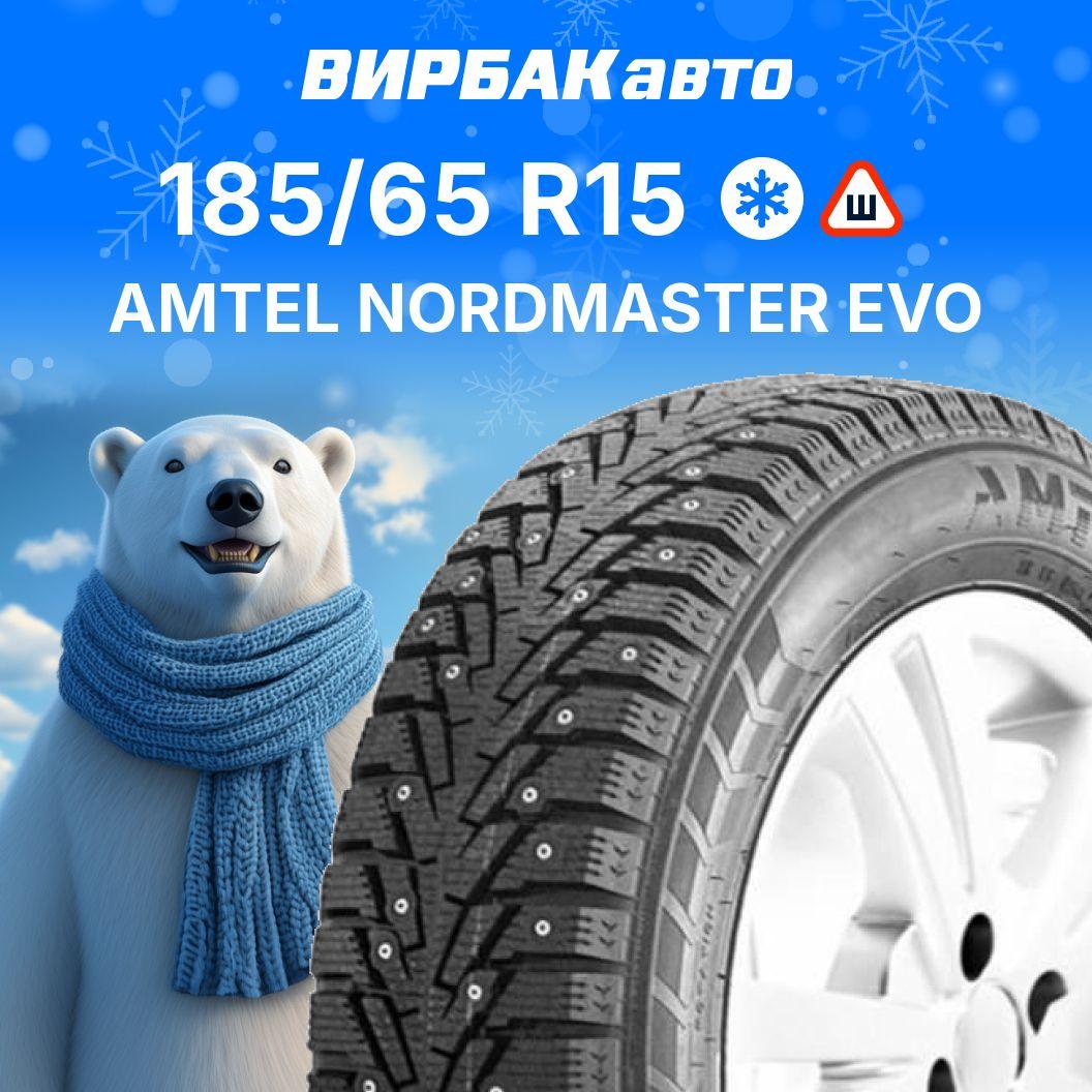 Amtel NORDMASTER EVO Шины  зимние 185/65  R15 88T Шипованные