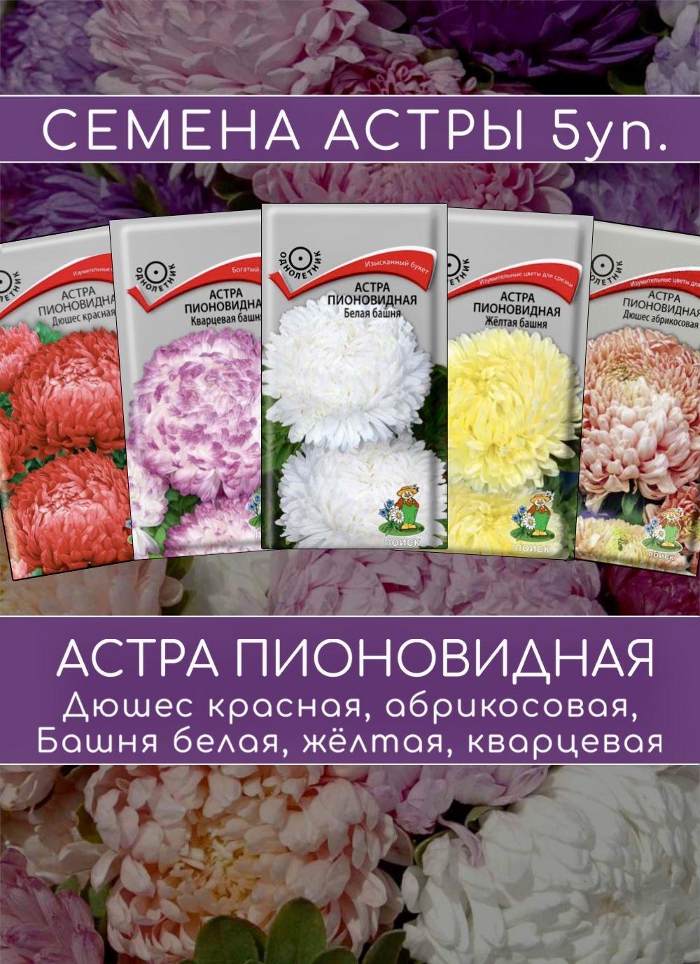 Астра пионовидная: Дюшес абрикосовая, красная, Башня белая, жёлтая, кварцевая