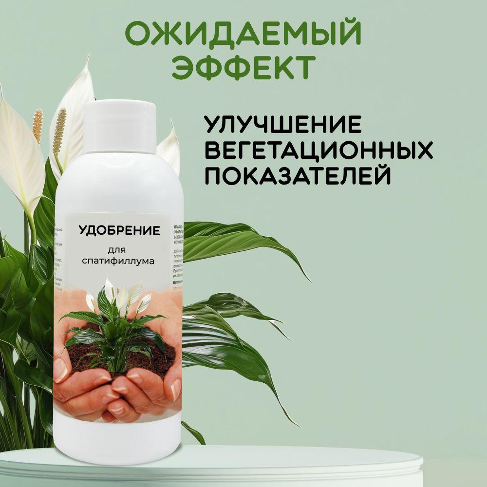 https://cdn1.ozone.ru/s3/multimedia-1-i/7041764322.jpg