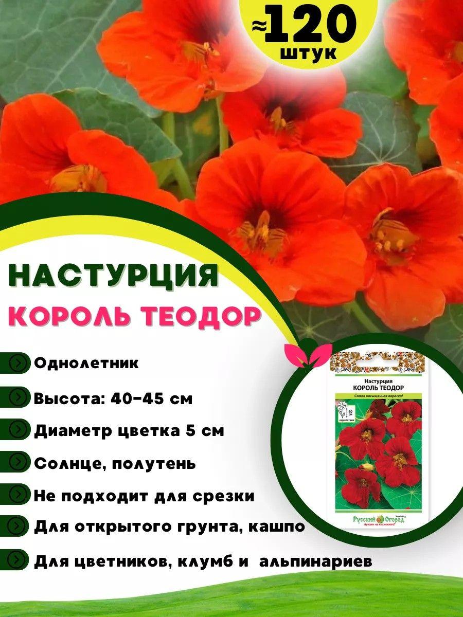 https://cdn1.ozone.ru/s3/multimedia-1-i/7047844614.jpg