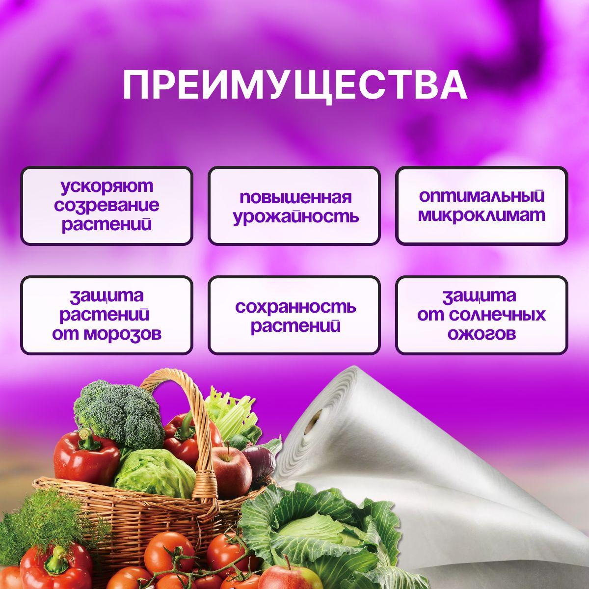 https://cdn1.ozone.ru/s3/multimedia-1-i/7049063646.jpg
