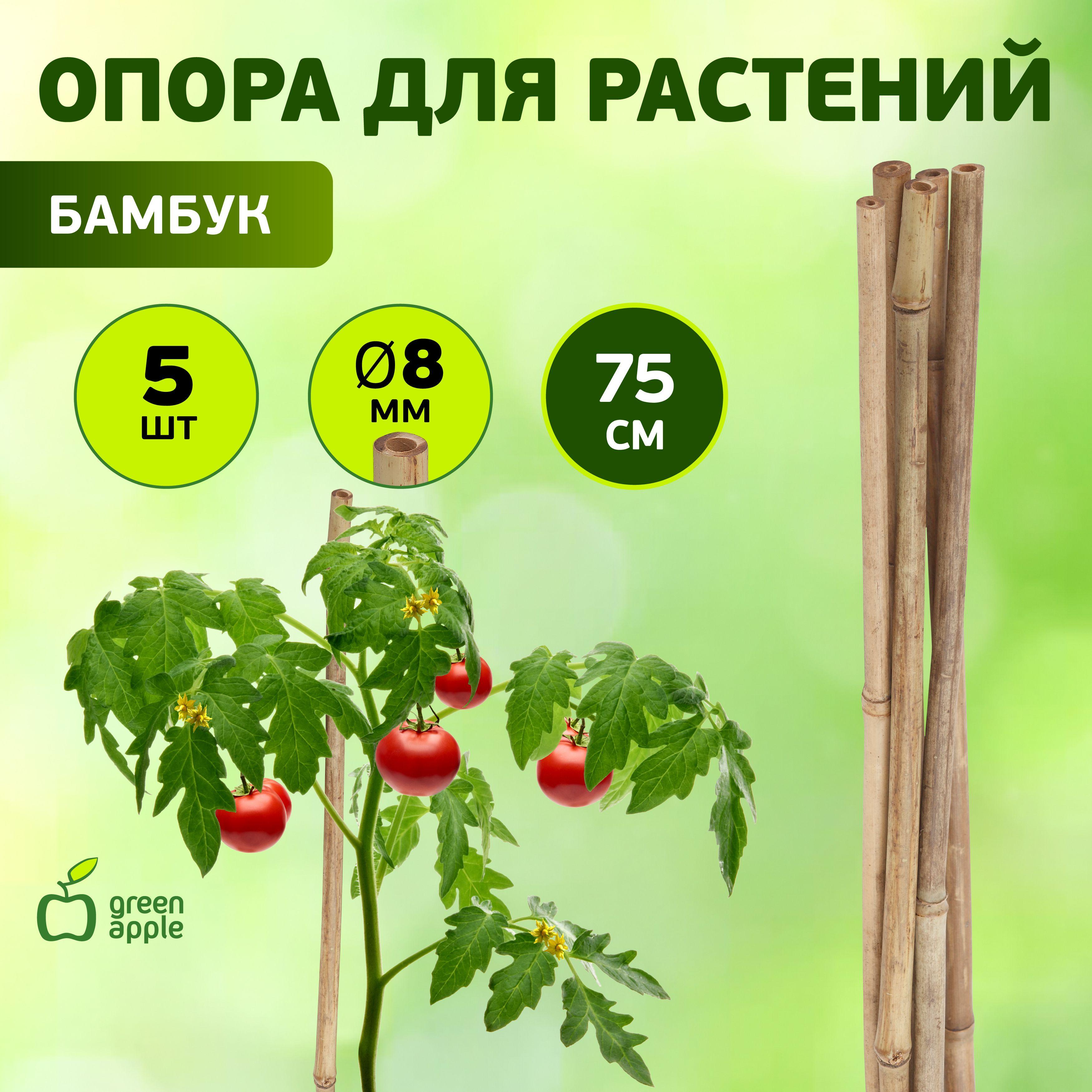 Опора для растений и цветов бамбуковая GBS-8-75 GREEN APPLE / поддержка для растений 75см х 8мм, 5 шт