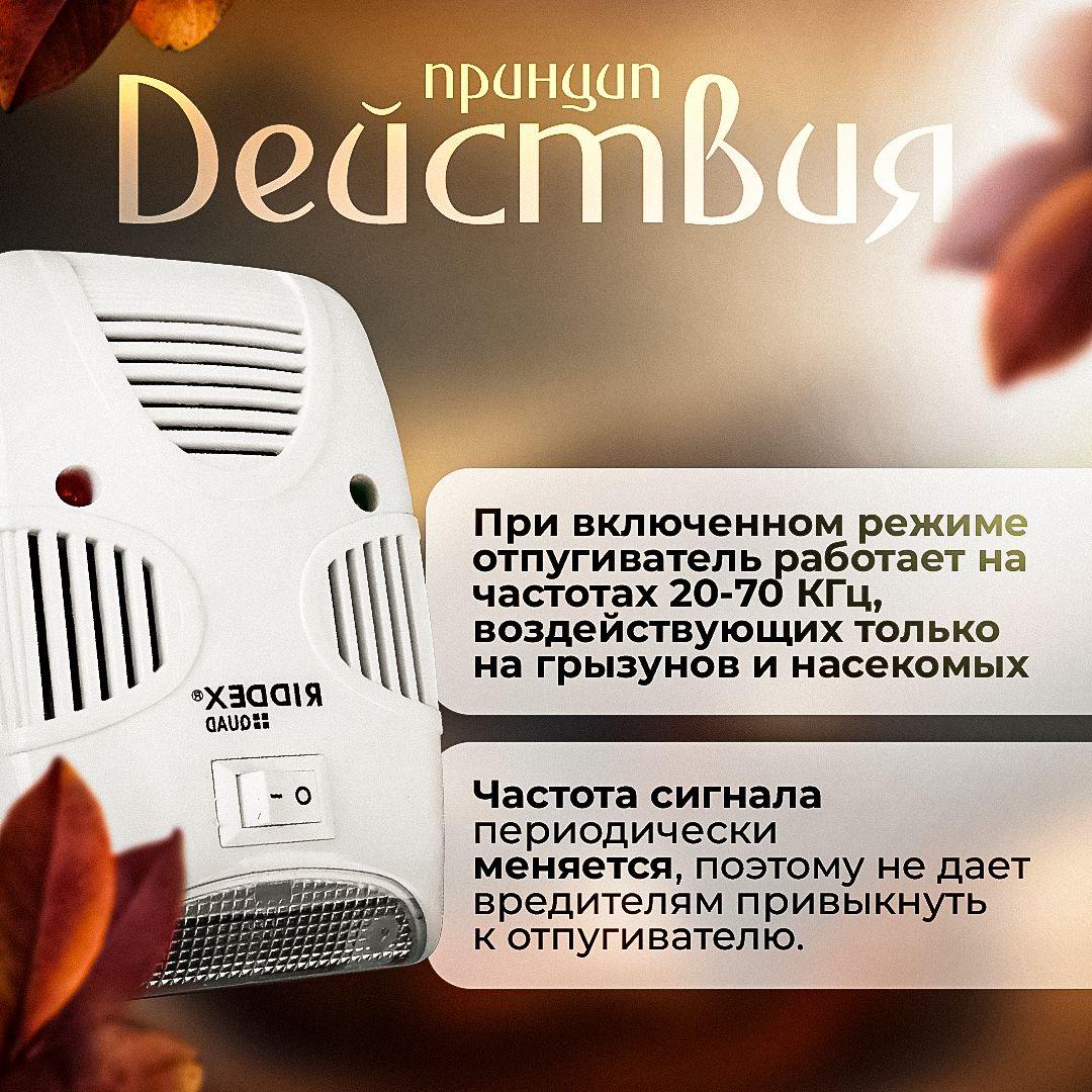 https://cdn1.ozone.ru/s3/multimedia-1-i/7156584198.jpg