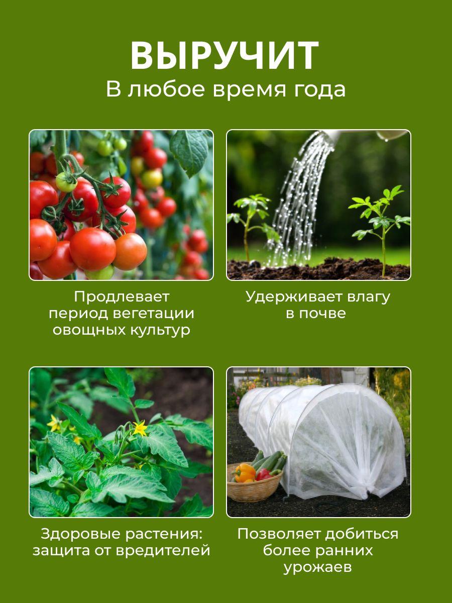 https://cdn1.ozone.ru/s3/multimedia-1-i/7162178634.jpg